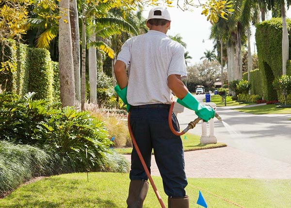 About Startup WA Pest Control